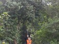 Tn DSC 4268